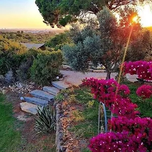 Oasis Camp Portugal Lagoa (Algarve)