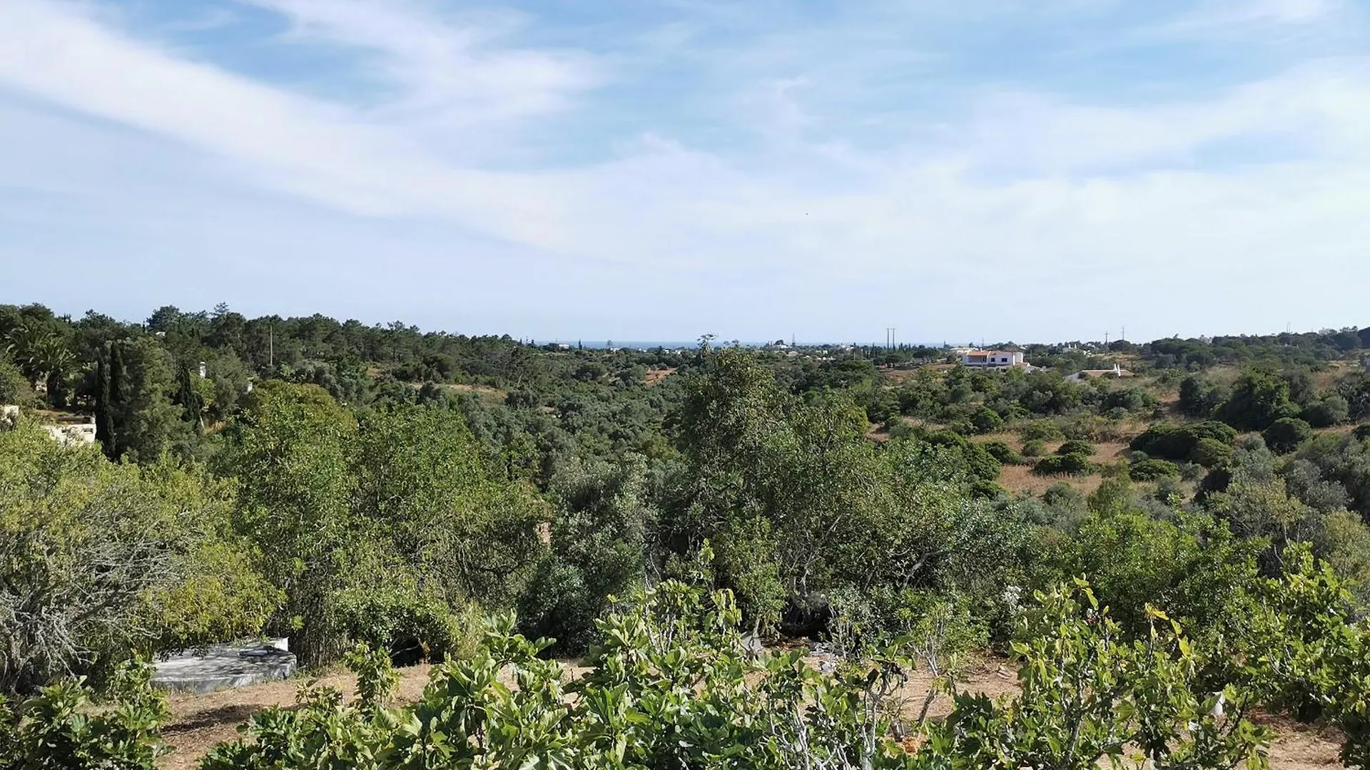Ferienhaus Villa Beguest Casas De Taipa Lagoa